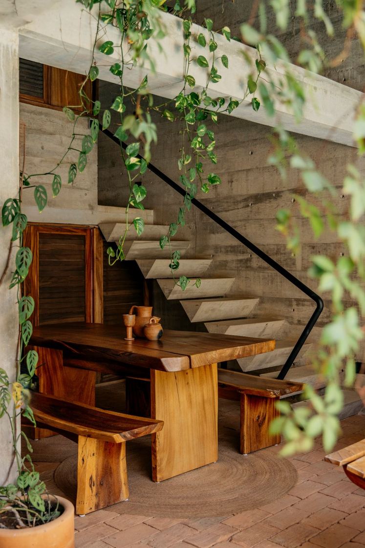 Staircase and dining table framed by hanging plants