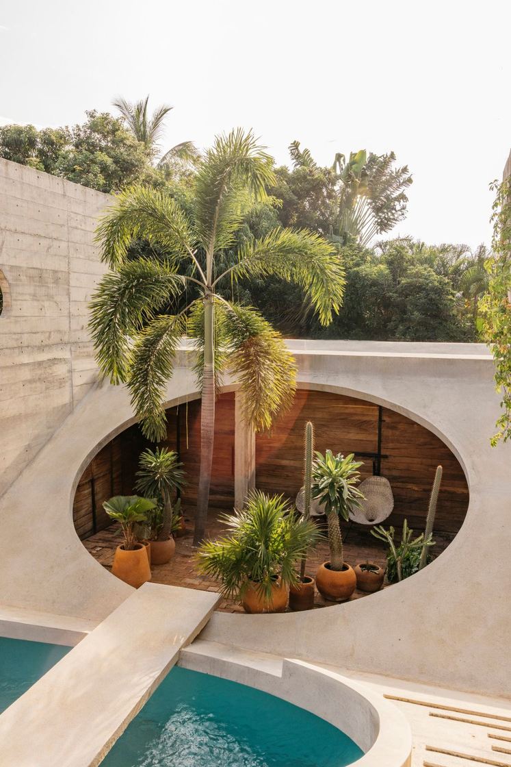 A palm rising through the oval opening above the pool